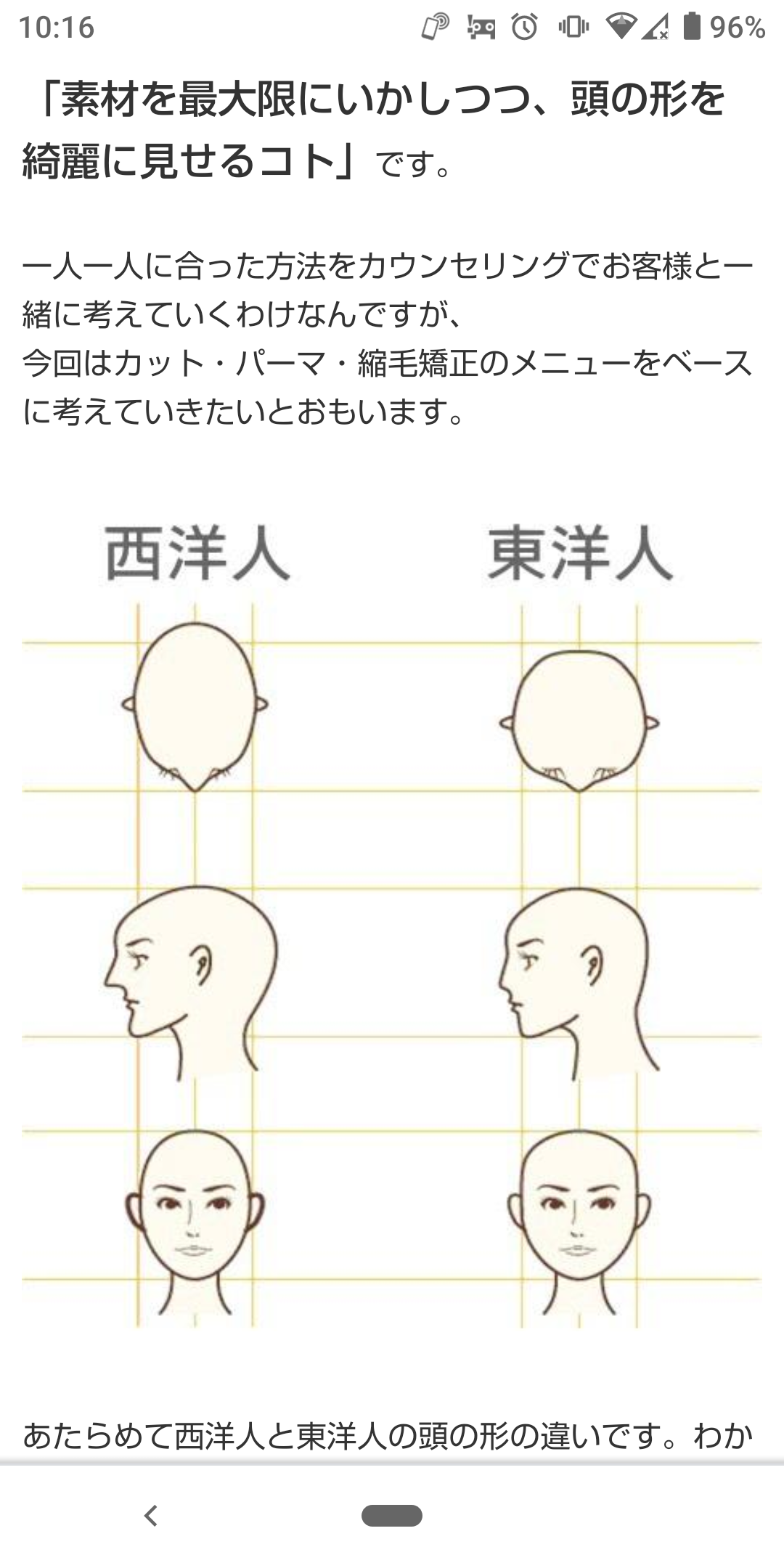 改めて頭の形を理解しましょう 頭の形 絶壁 後頭部